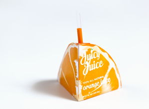 圆球的八分之一平面展开图及其绘制原理